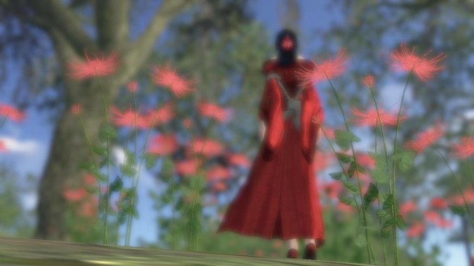 为什么我养的龟忽然死了?